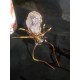 Araknochrones amethystus