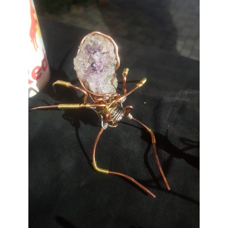 Araknochrones amethystus